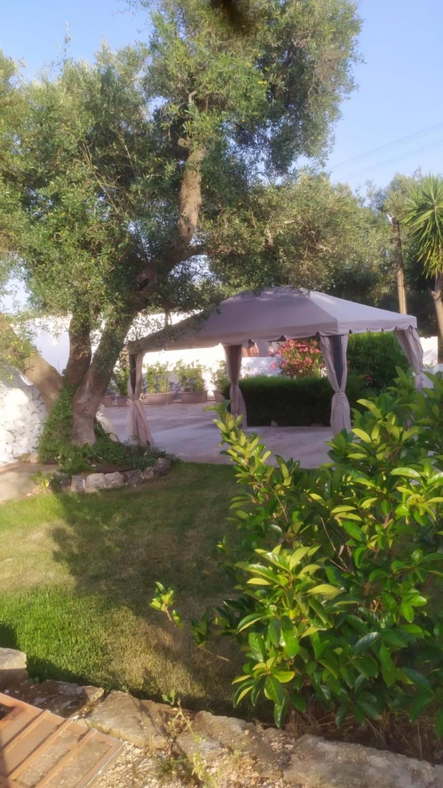 Il Trullo Di Nonno Mingo Vila Ceglie Messapica Exterior foto